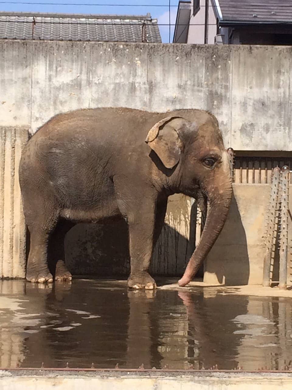 Kid-Friendly Play Areas