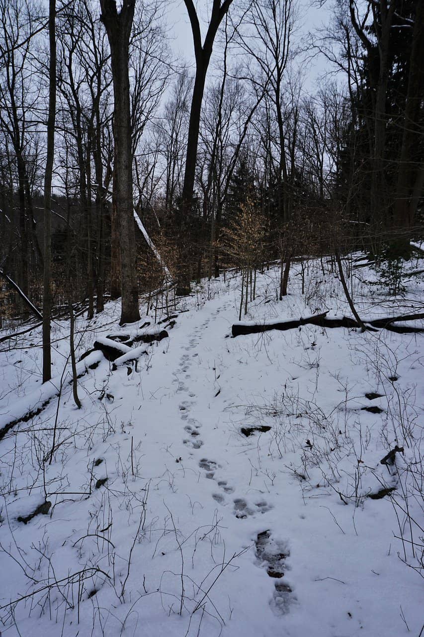 Historic Sawmill Trail
