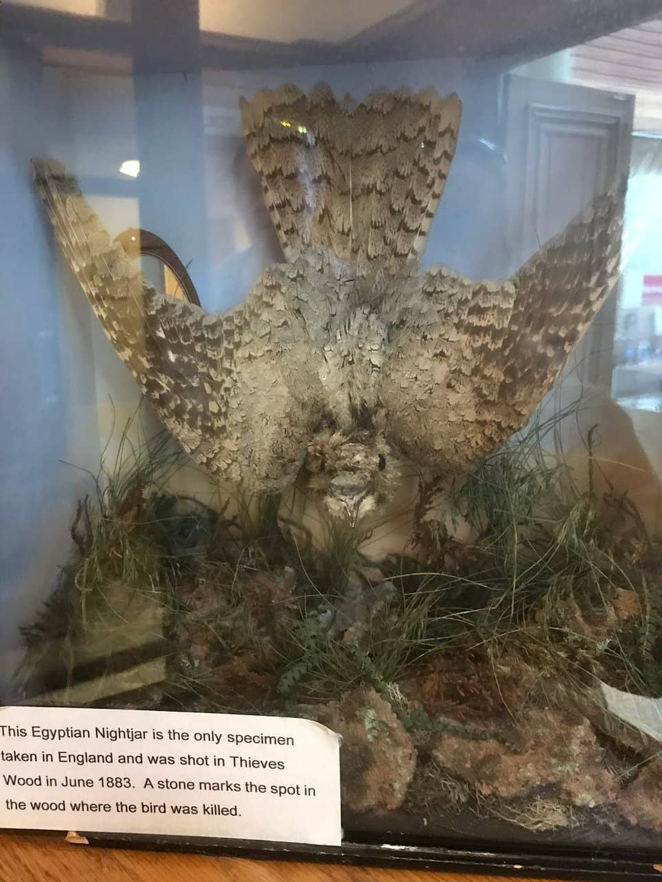 Local History Displays