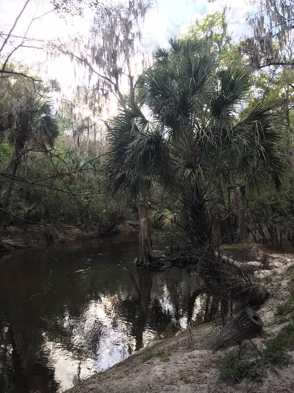 Paved Multi-Use Trail