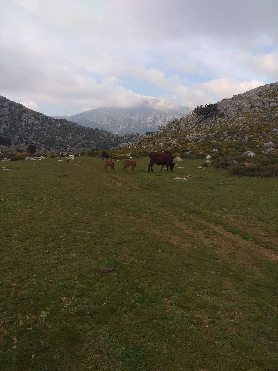 Grazalema Natural Park Vistas