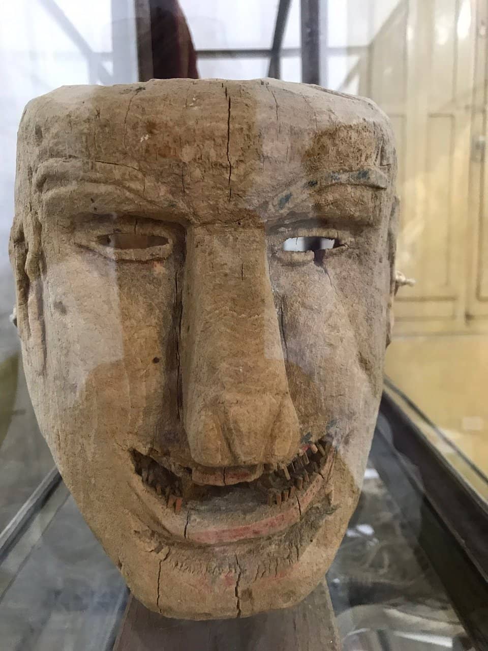 Dr. Branislava Susnik's Legacy