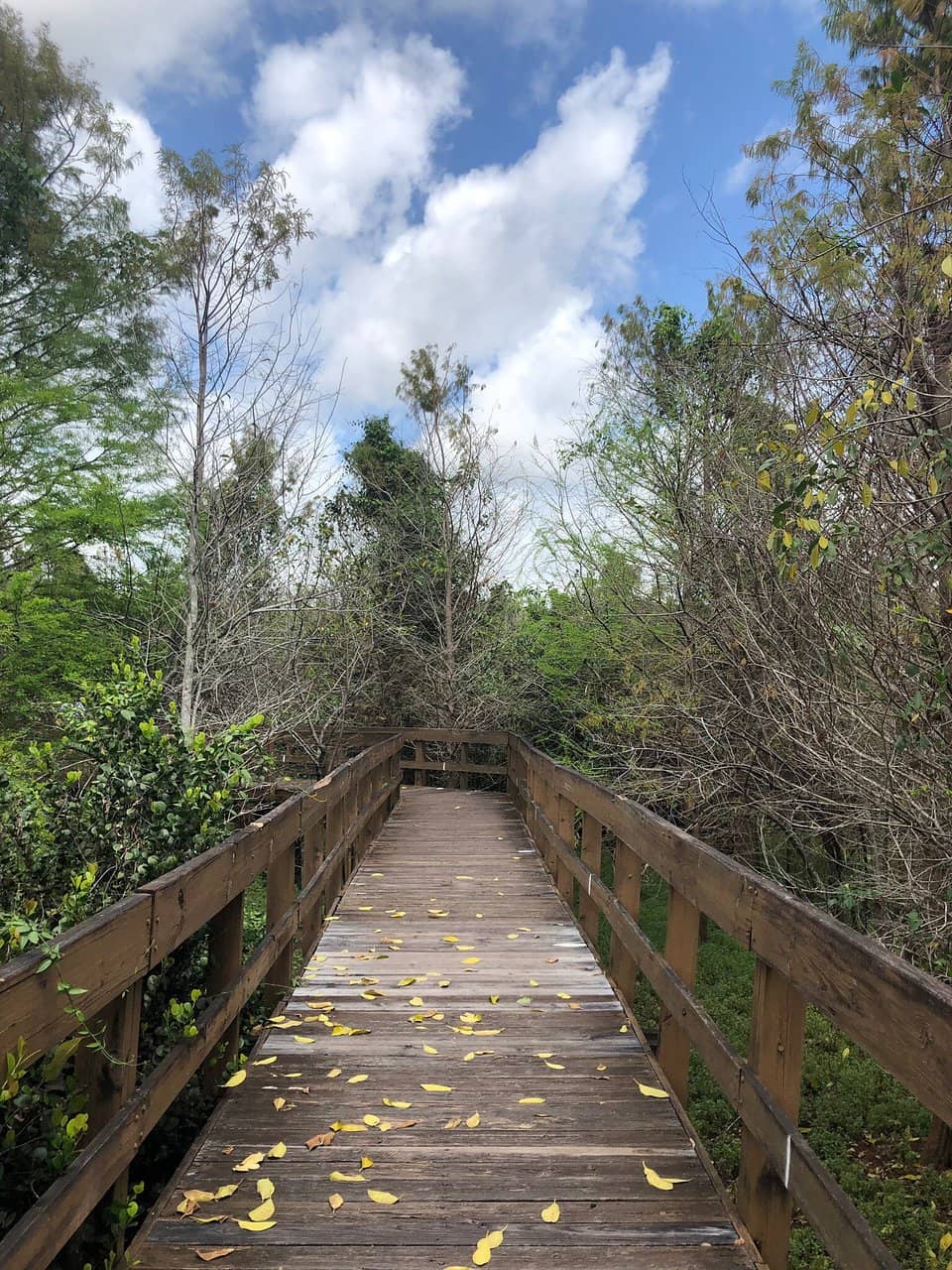 Coconut Cove Waterpark