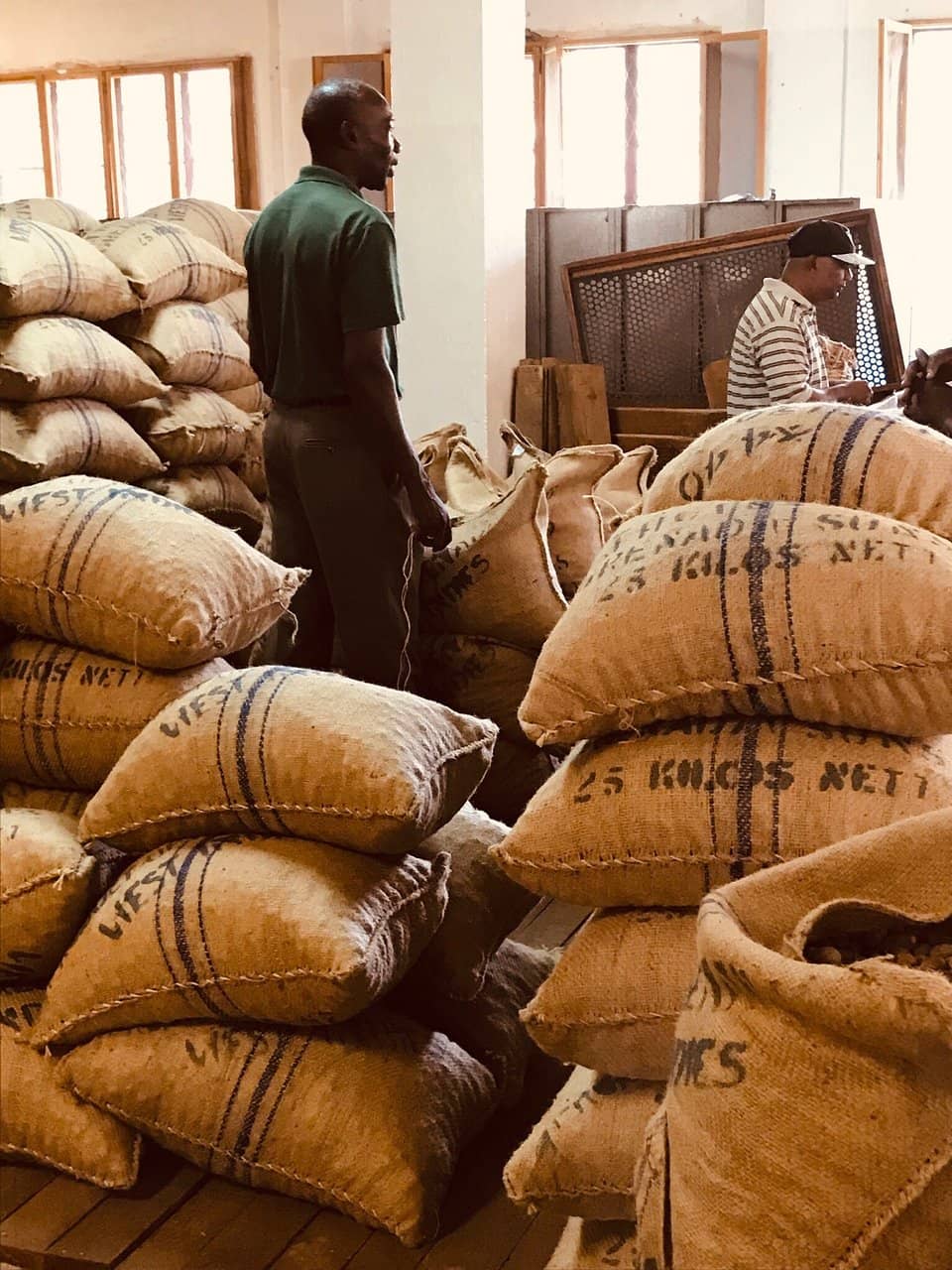 Nutmeg Processing Insight