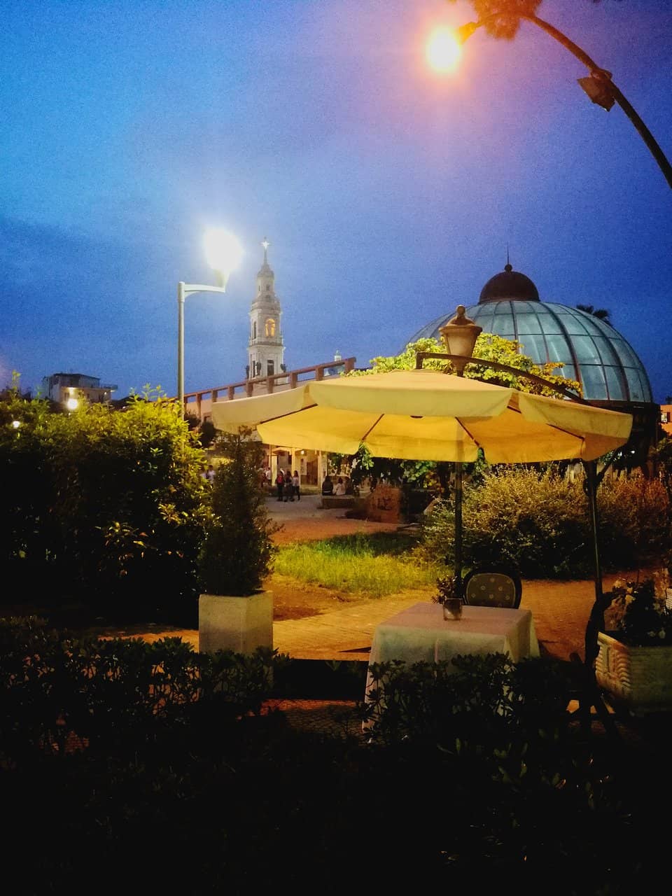 Impeccable Service and Ambiance