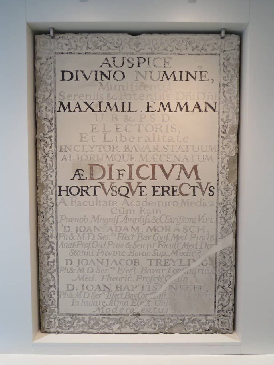 Medicinal Plant Garden