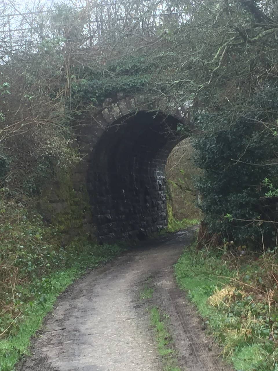 Green Social Prescribing