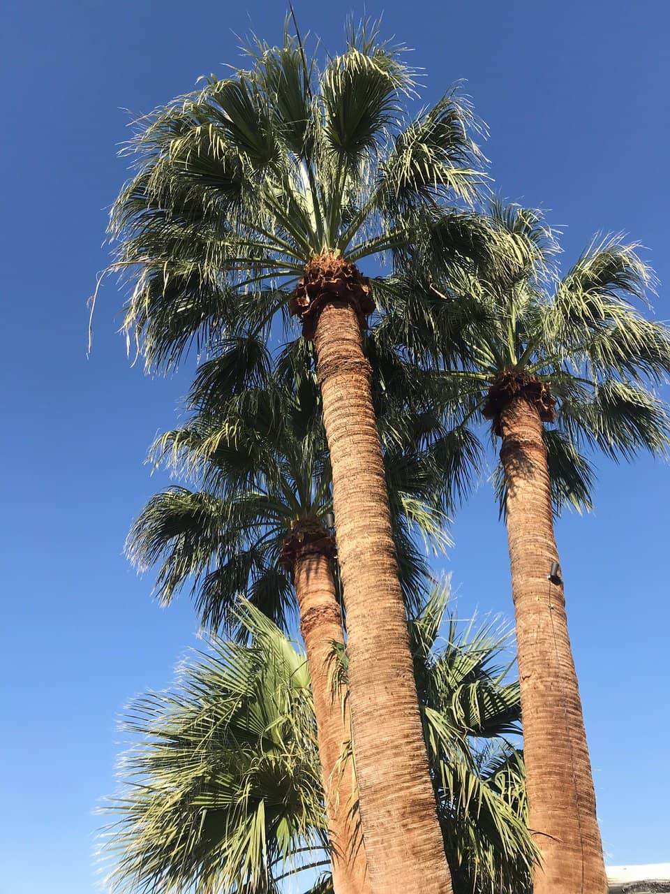 Relaxing Spa Treatments