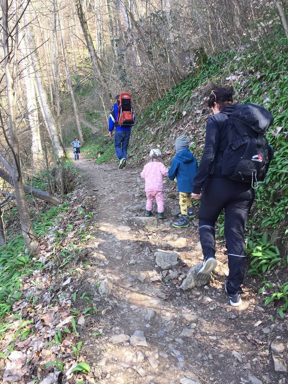 Rhine Valley Panorama