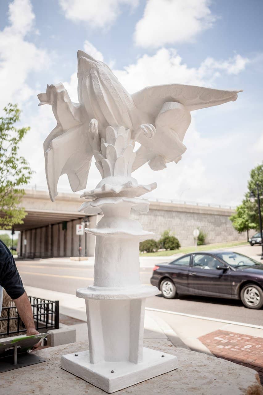 The Iconic Coneflower