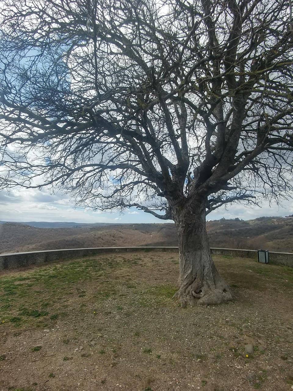 Birthplace Atmosphere