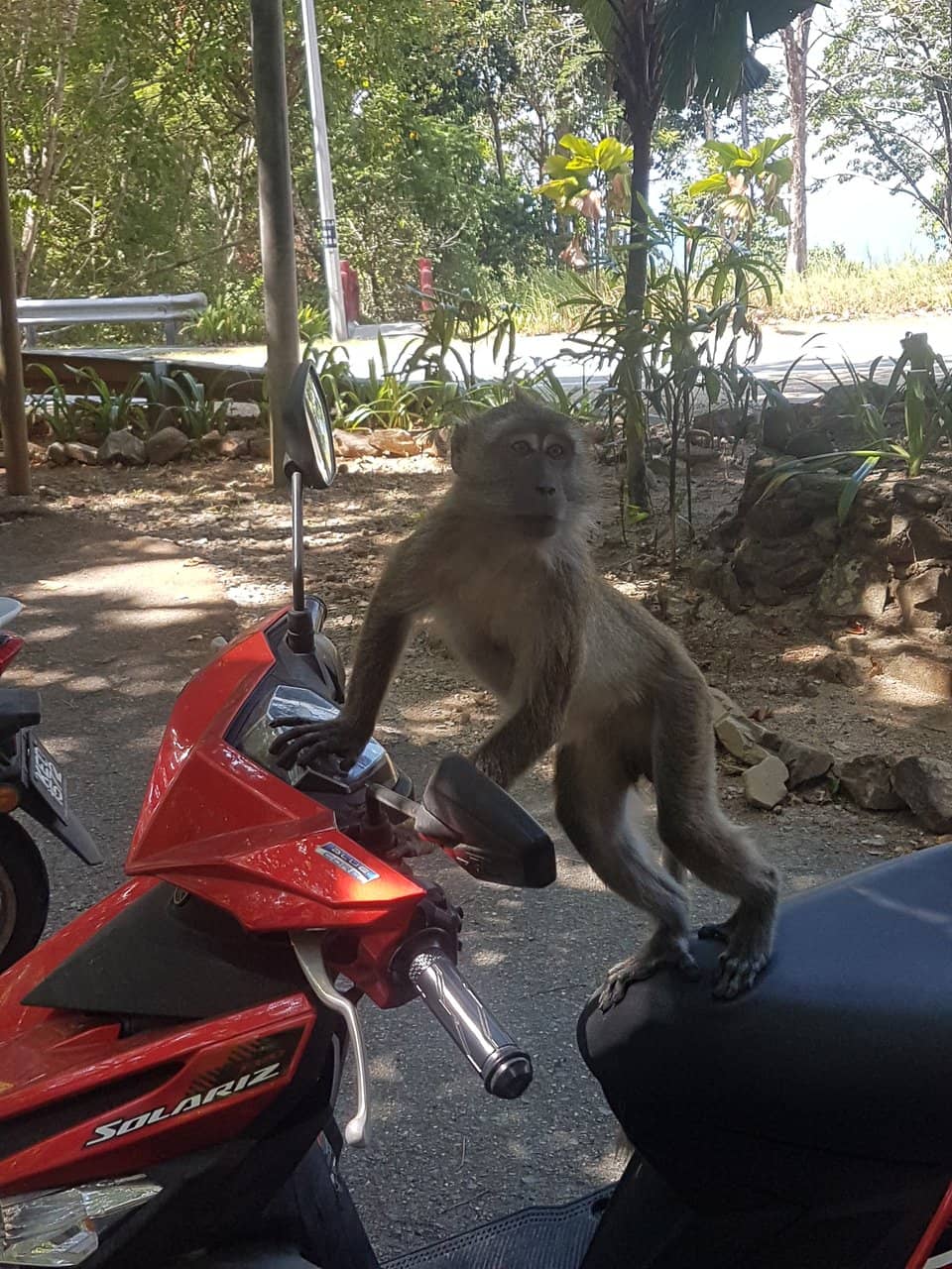 Refreshing Natural Pools