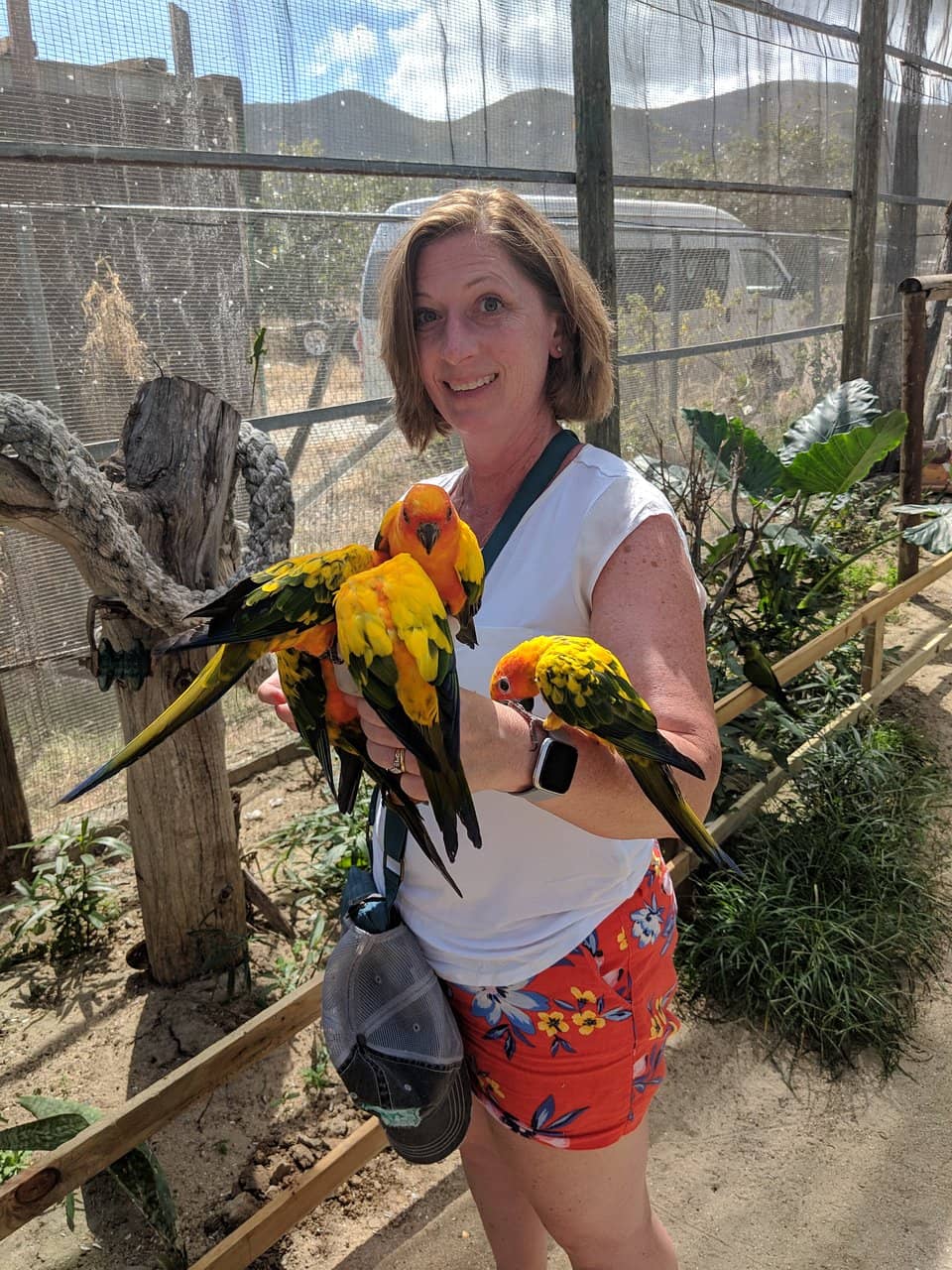 Vibrant Tropical Gardens