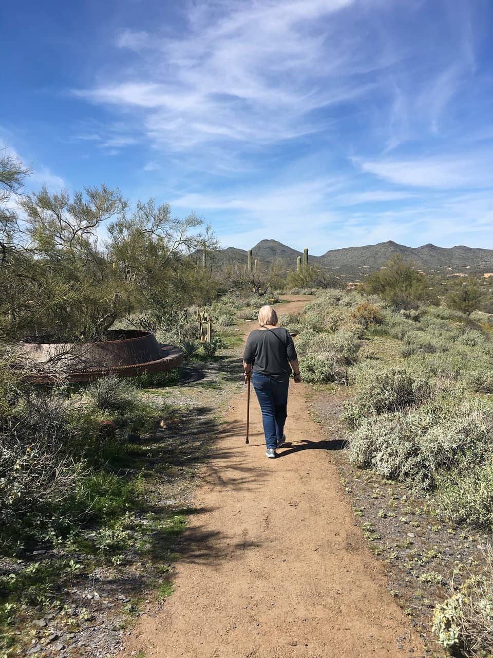 Community Hub & Events