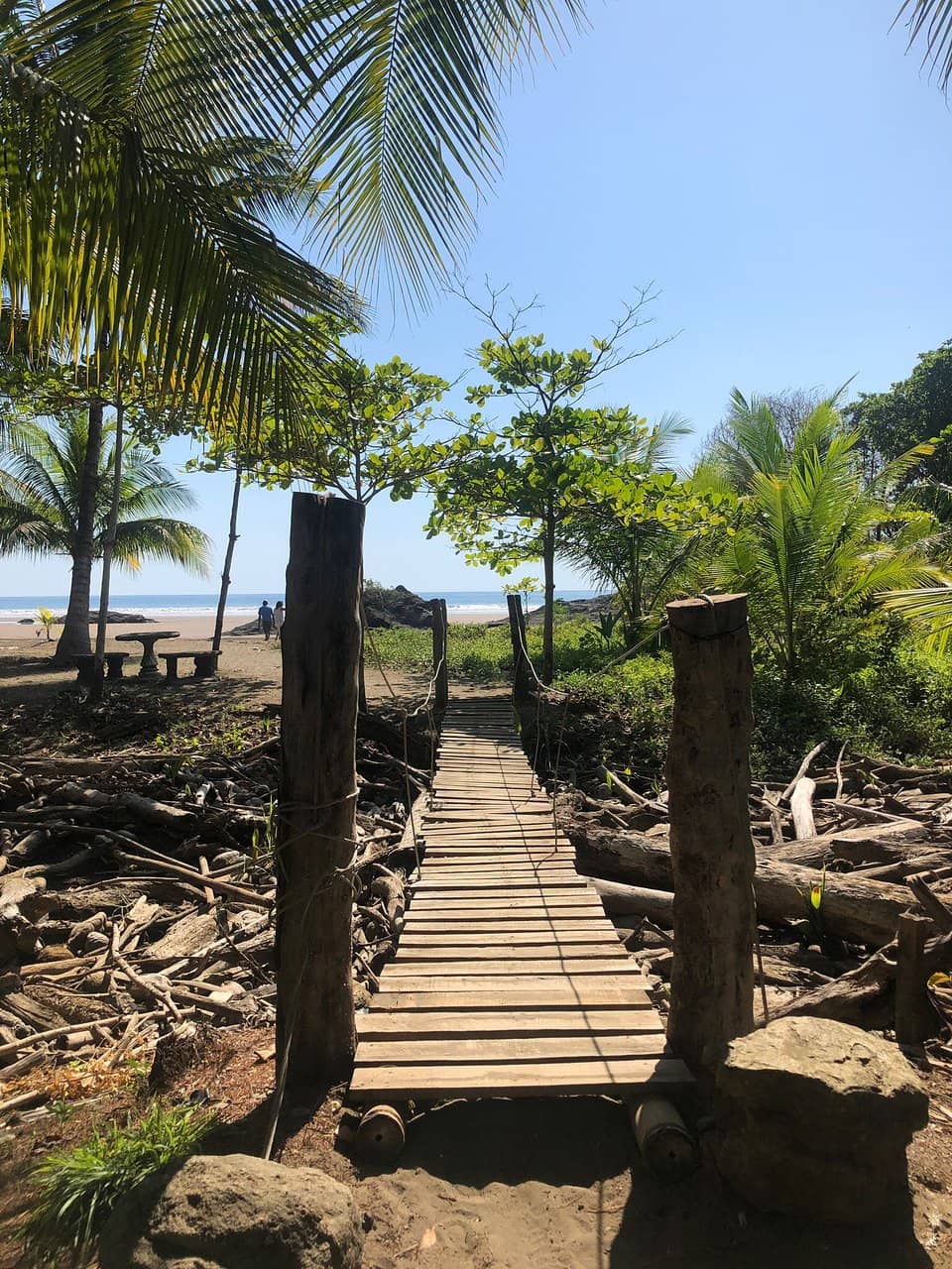 Marino Ballena National Park