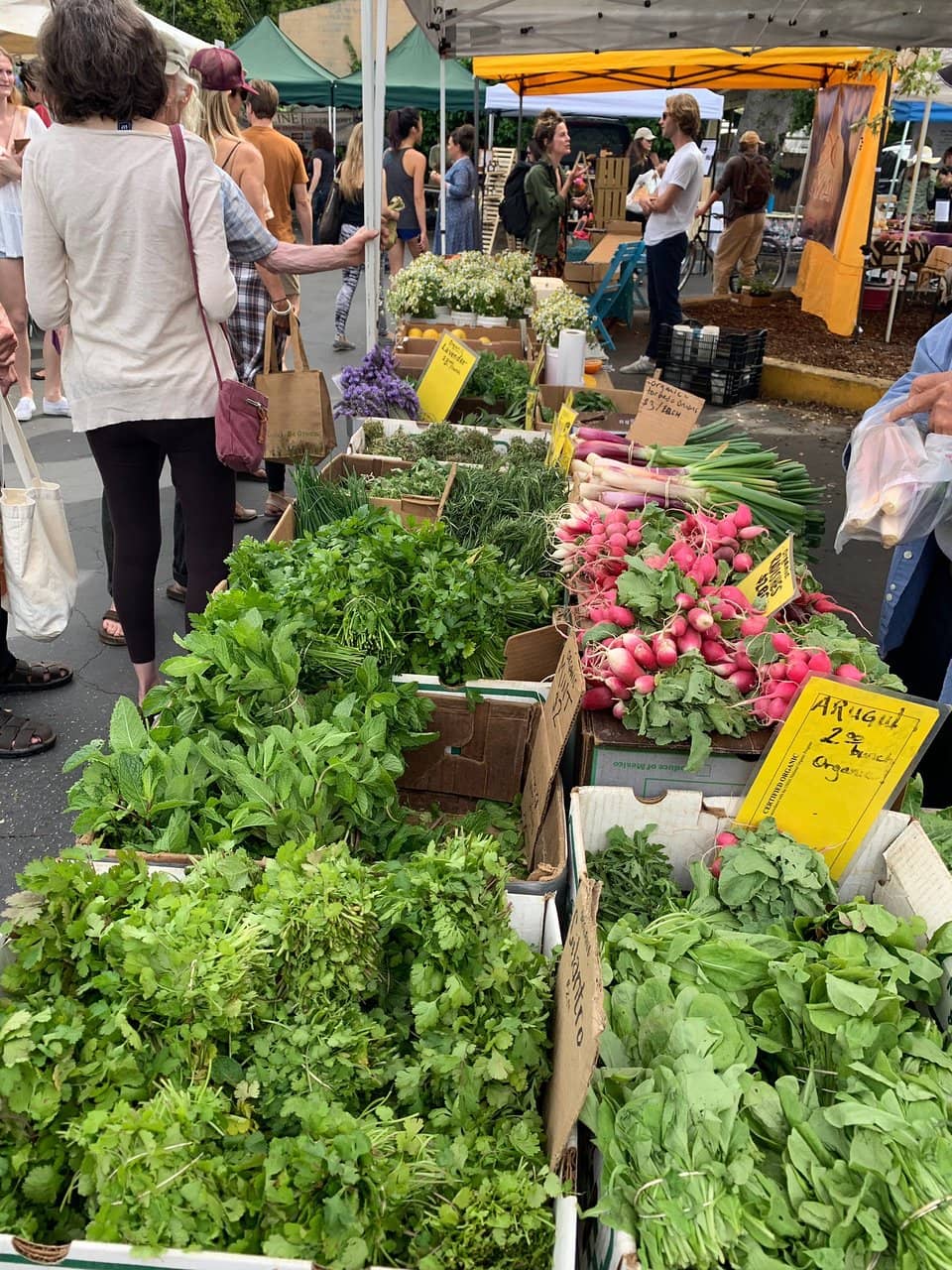 Artisan Crafts & Goods