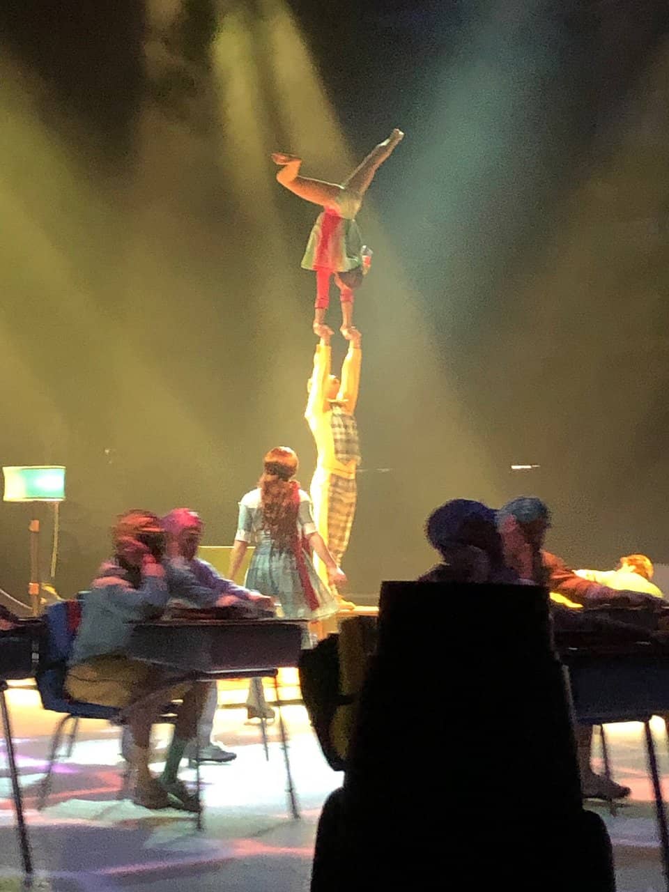 Concerts & Live Performances