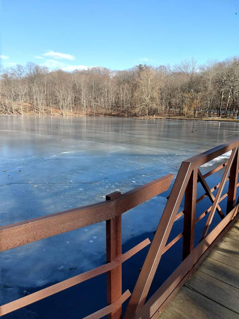 Mountain Biking Trails