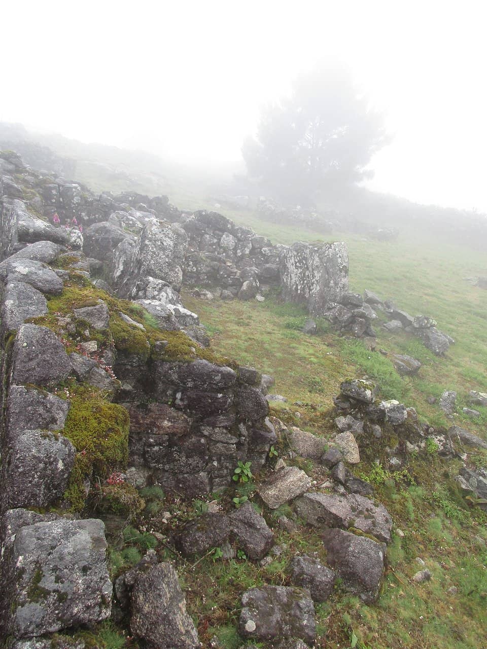 Overhead Walking Ramp