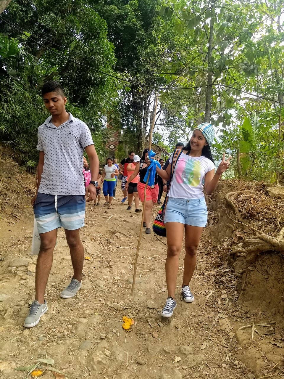 Jungle Trails