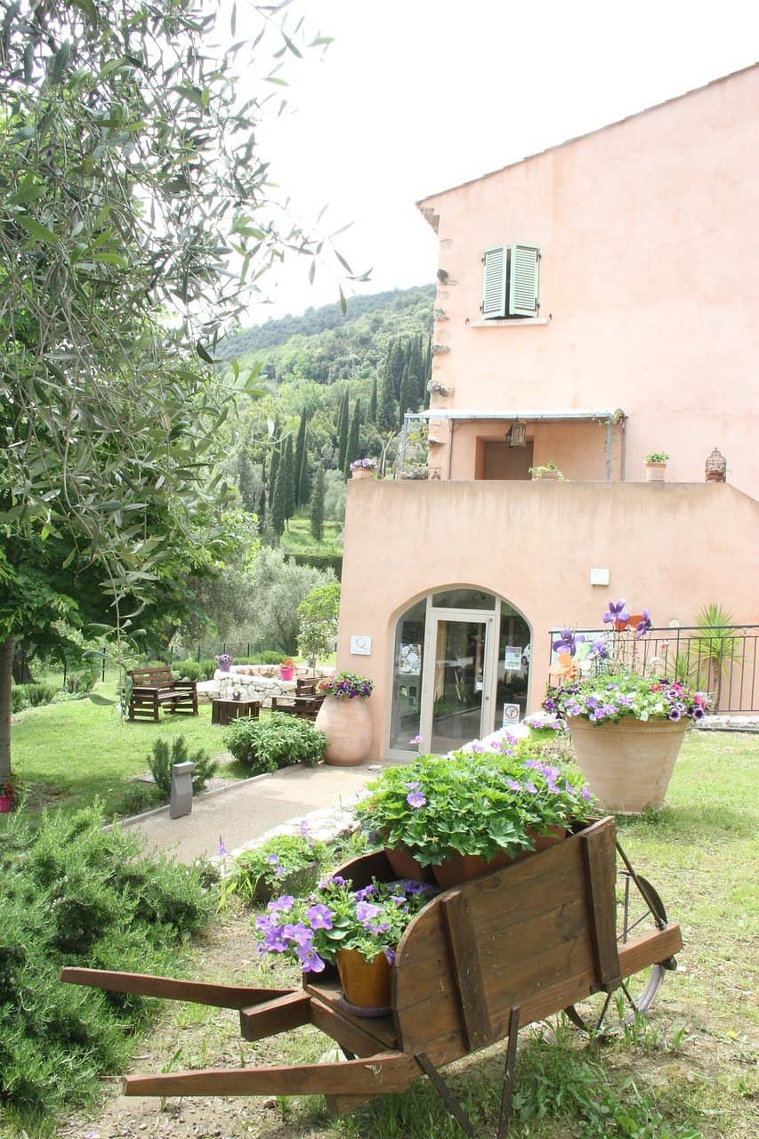 Violet Products Shop