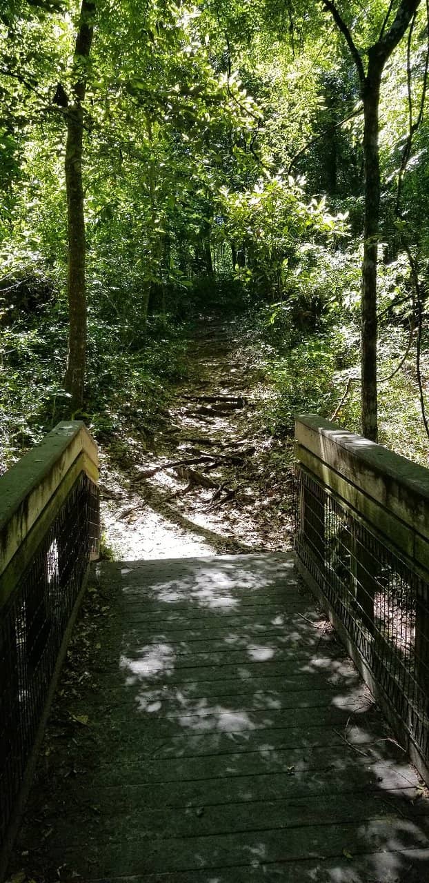Pecan Orchard Trail