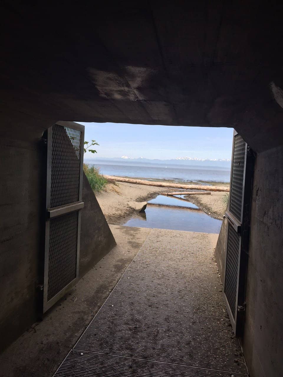 Under the Train Tracks