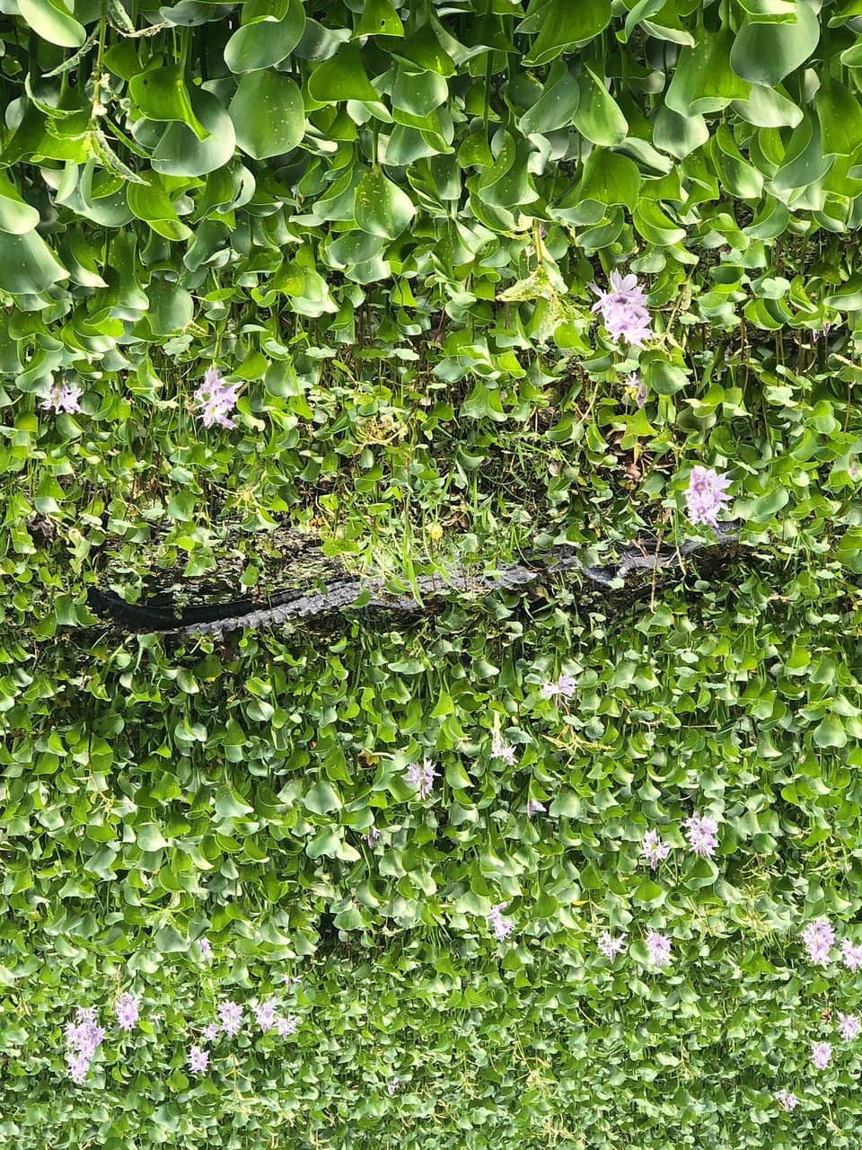 Visitor Center Exhibits