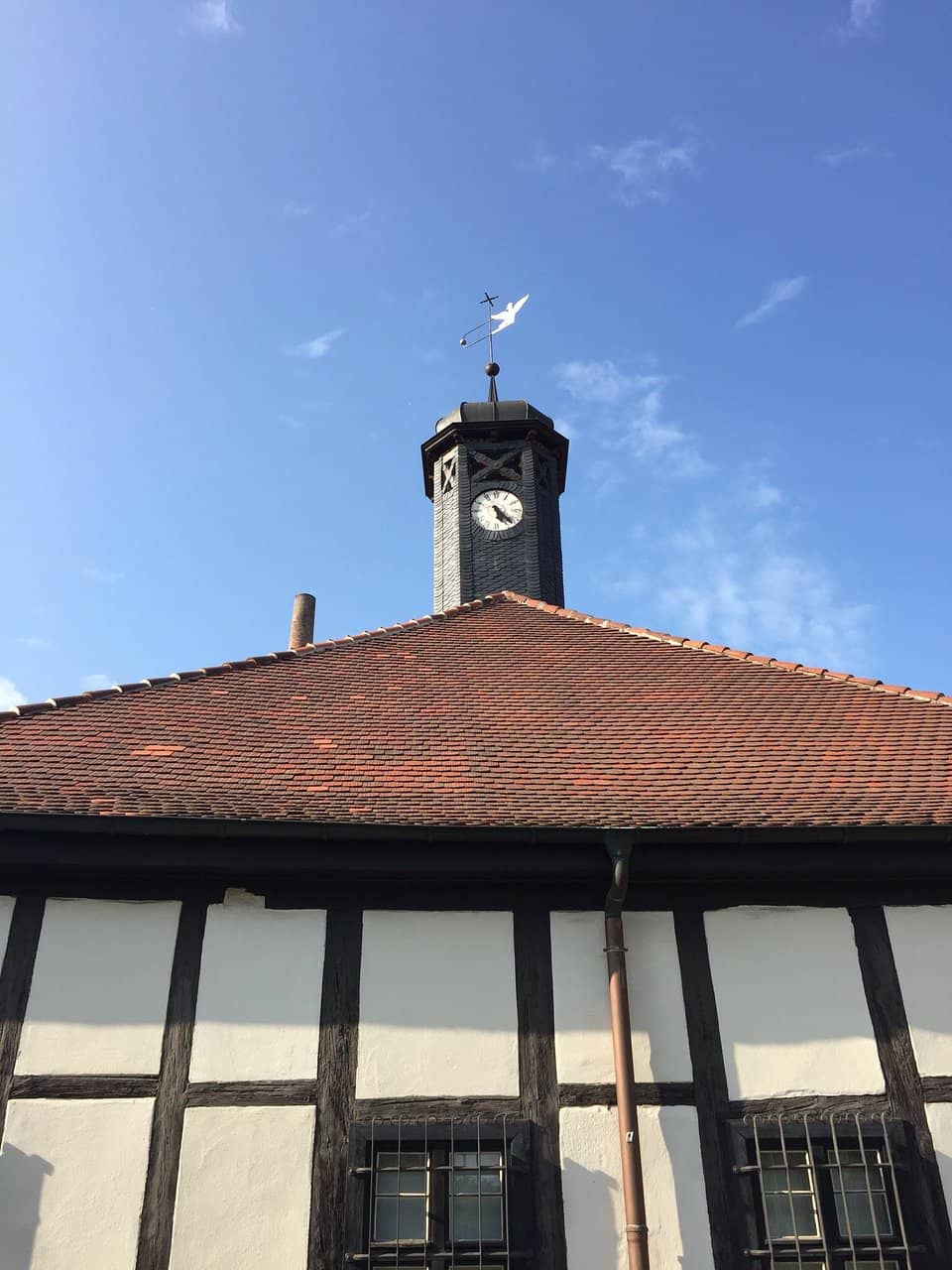 Futuristic Architecture Exhibit