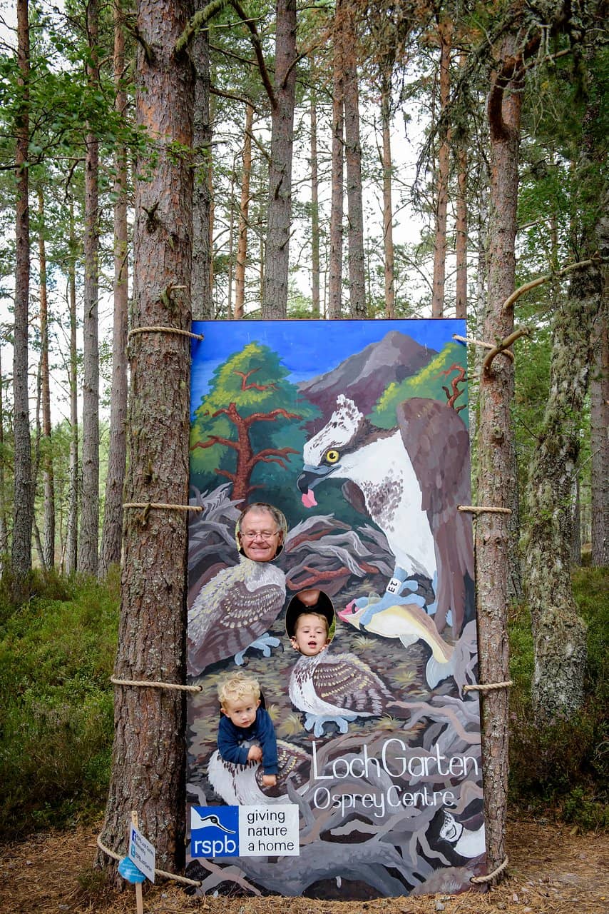 Forest Walks & Fungi