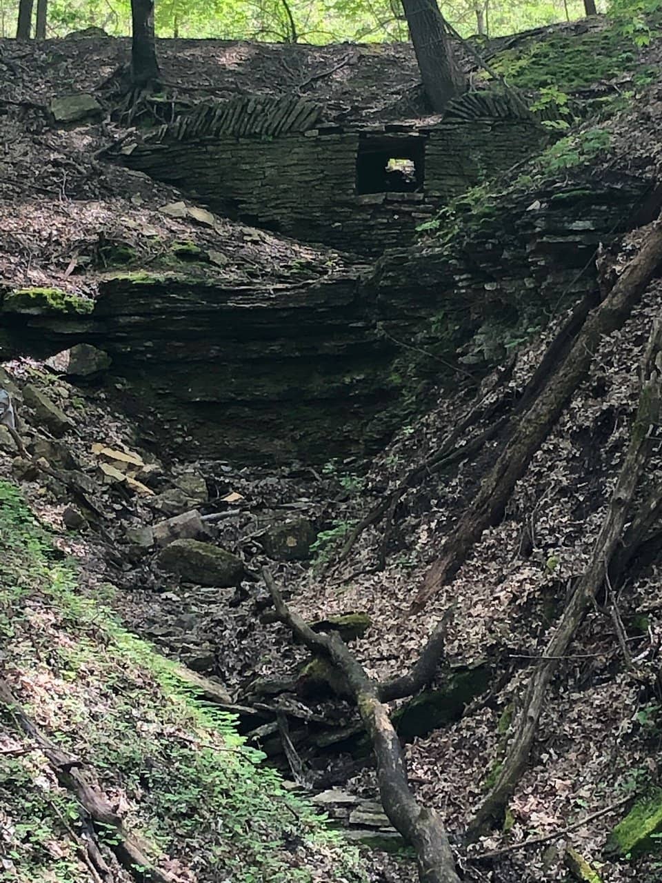 Artistic Basketball Court