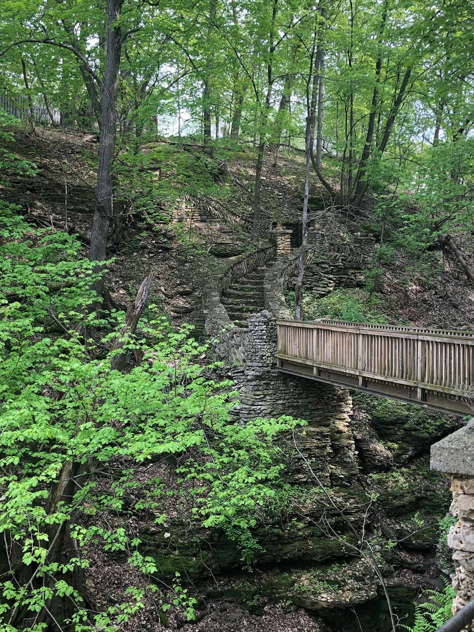 Scenic Walking Trails