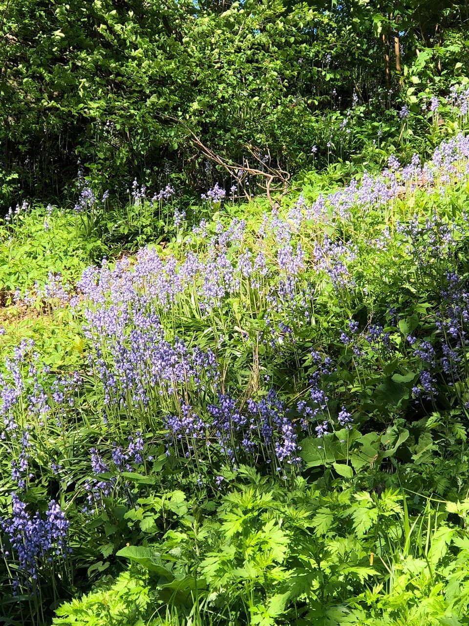 Playground Adventures