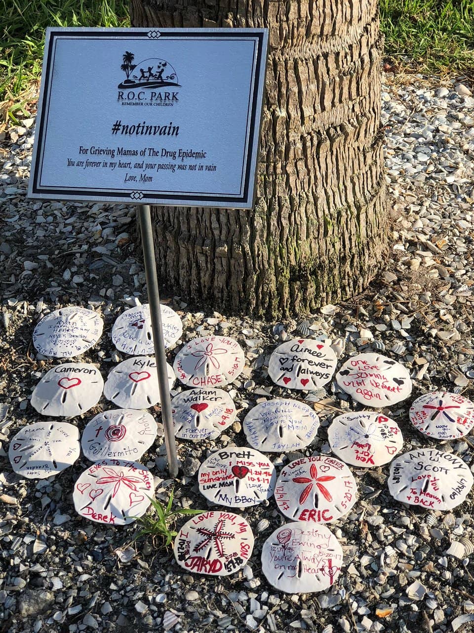 Splash Pad & Playground