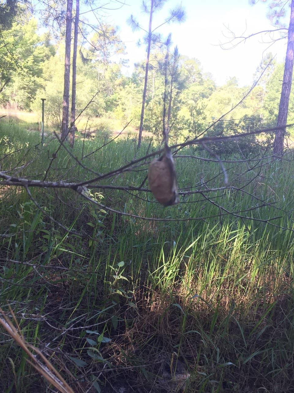 Extensive Trail Network