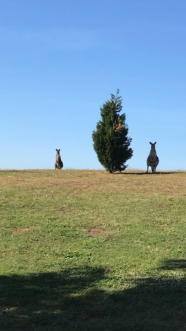 Challenging Resort-Style Holes