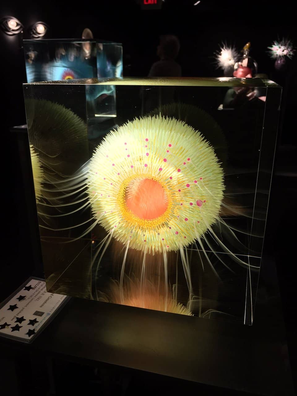 Artist & Staff Interactions