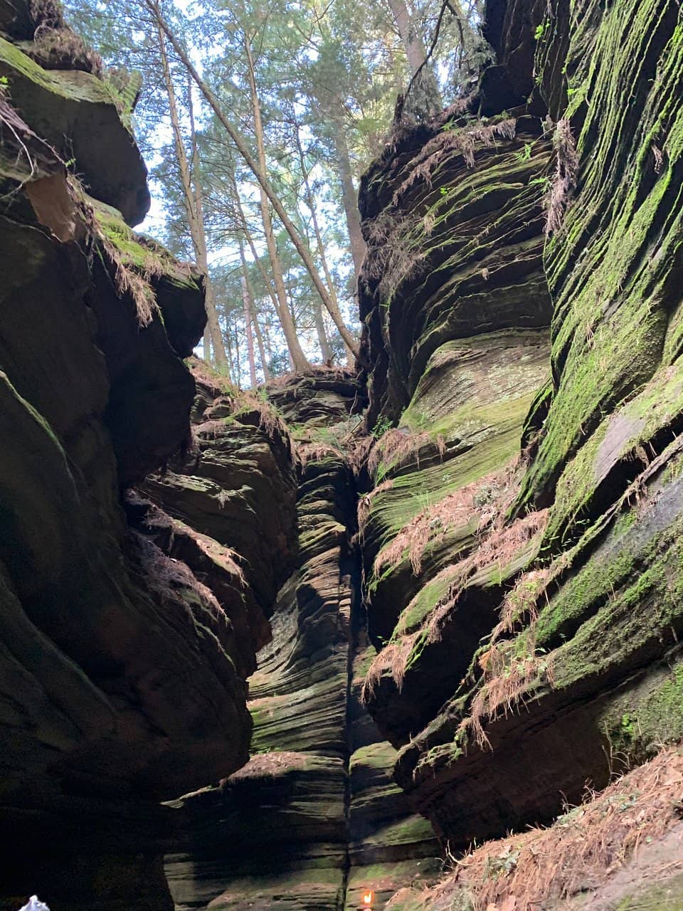 Pipiwai Trail to Waimoku Falls