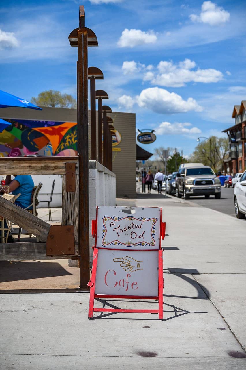 Quirky Owl-Themed Atmosphere