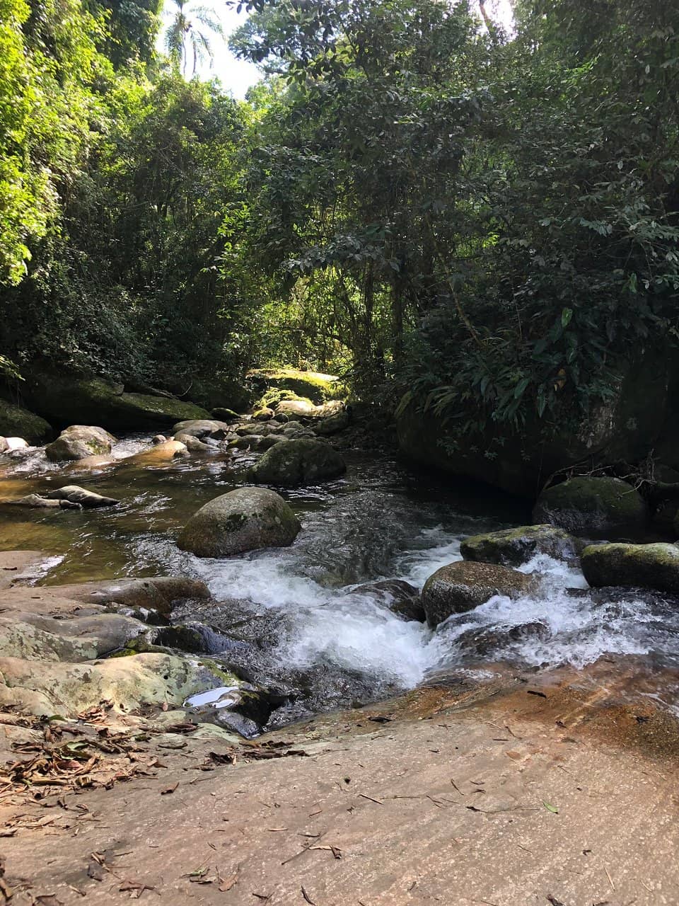 Local Kiosks & Music