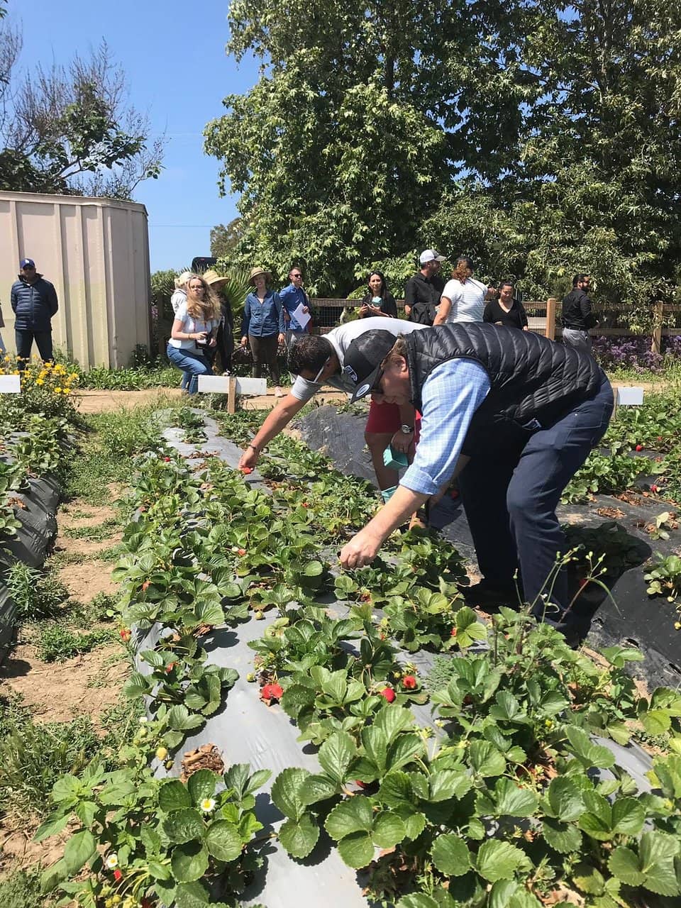 Farm & Garden Ambiance