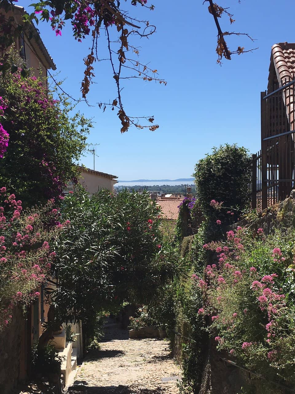 Interactive Art Experiences