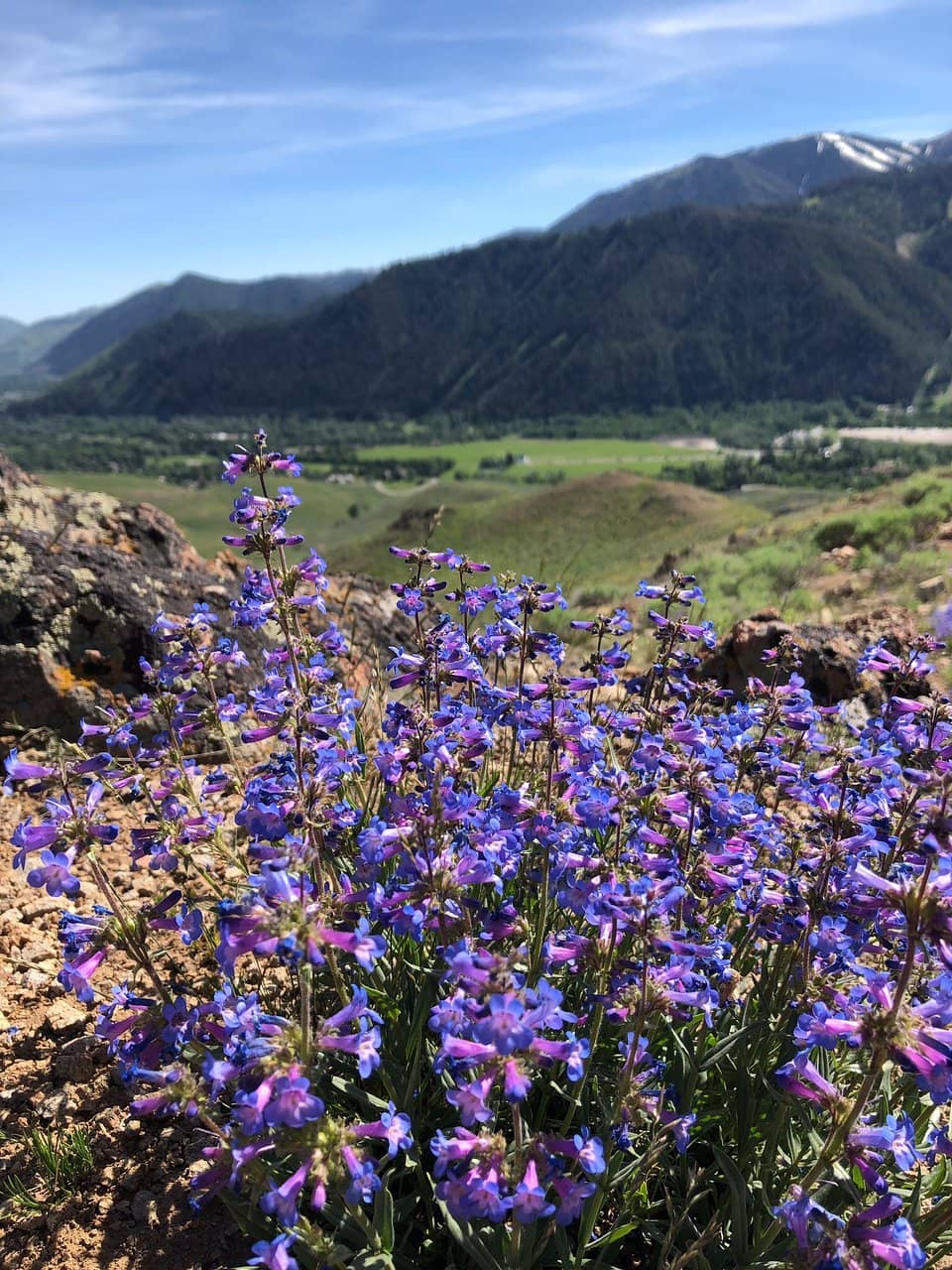 Ski School & Rentals