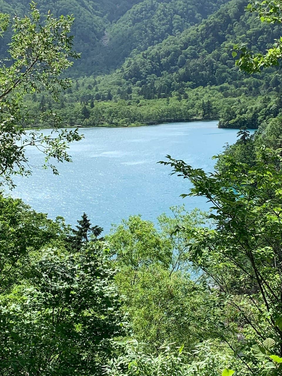 Autumn Foliage Reflections