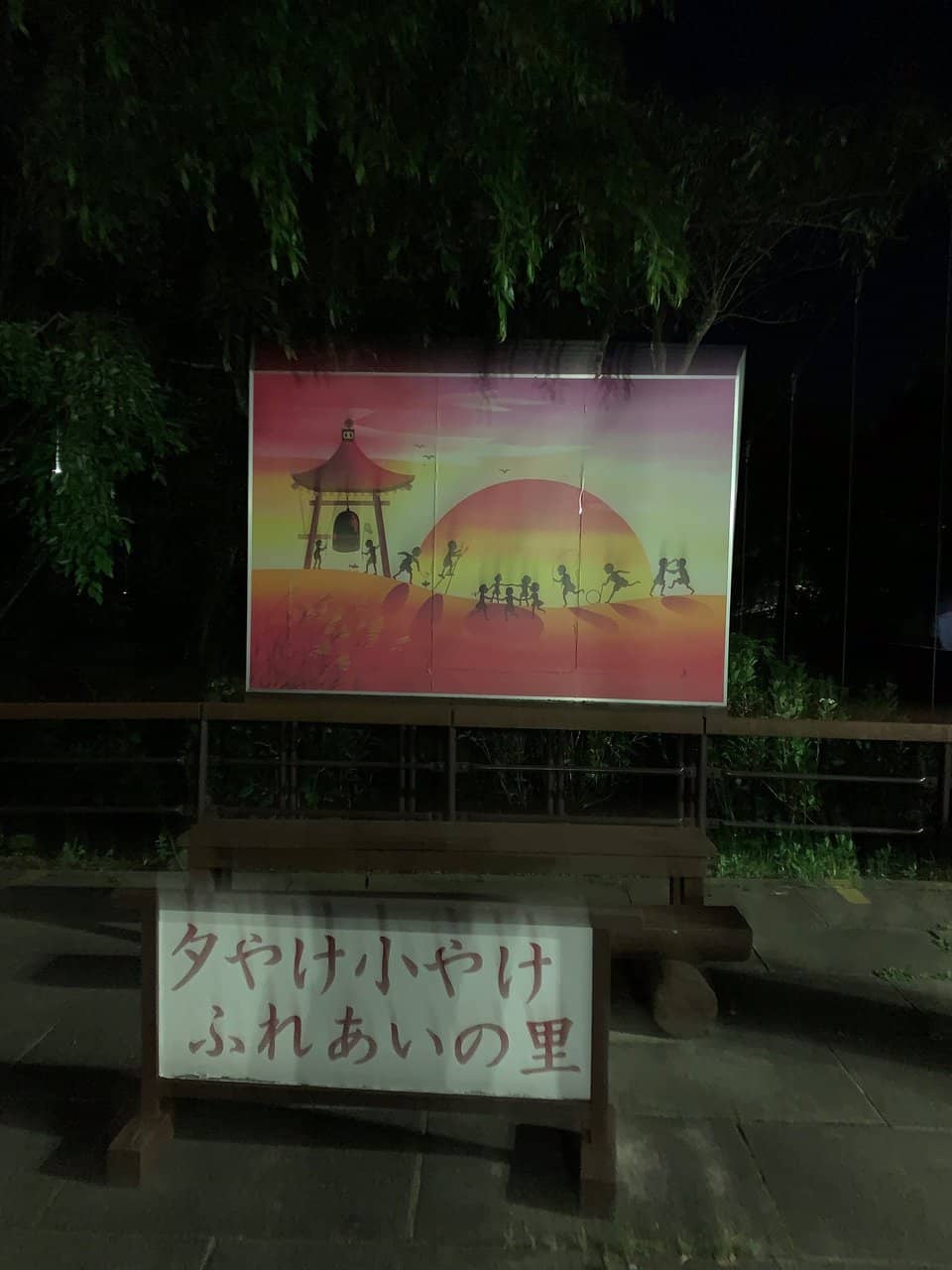 Petting Zoo Encounters