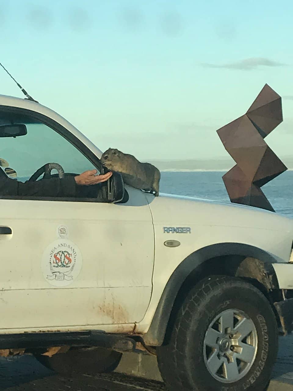 Whale Watching Spectacle