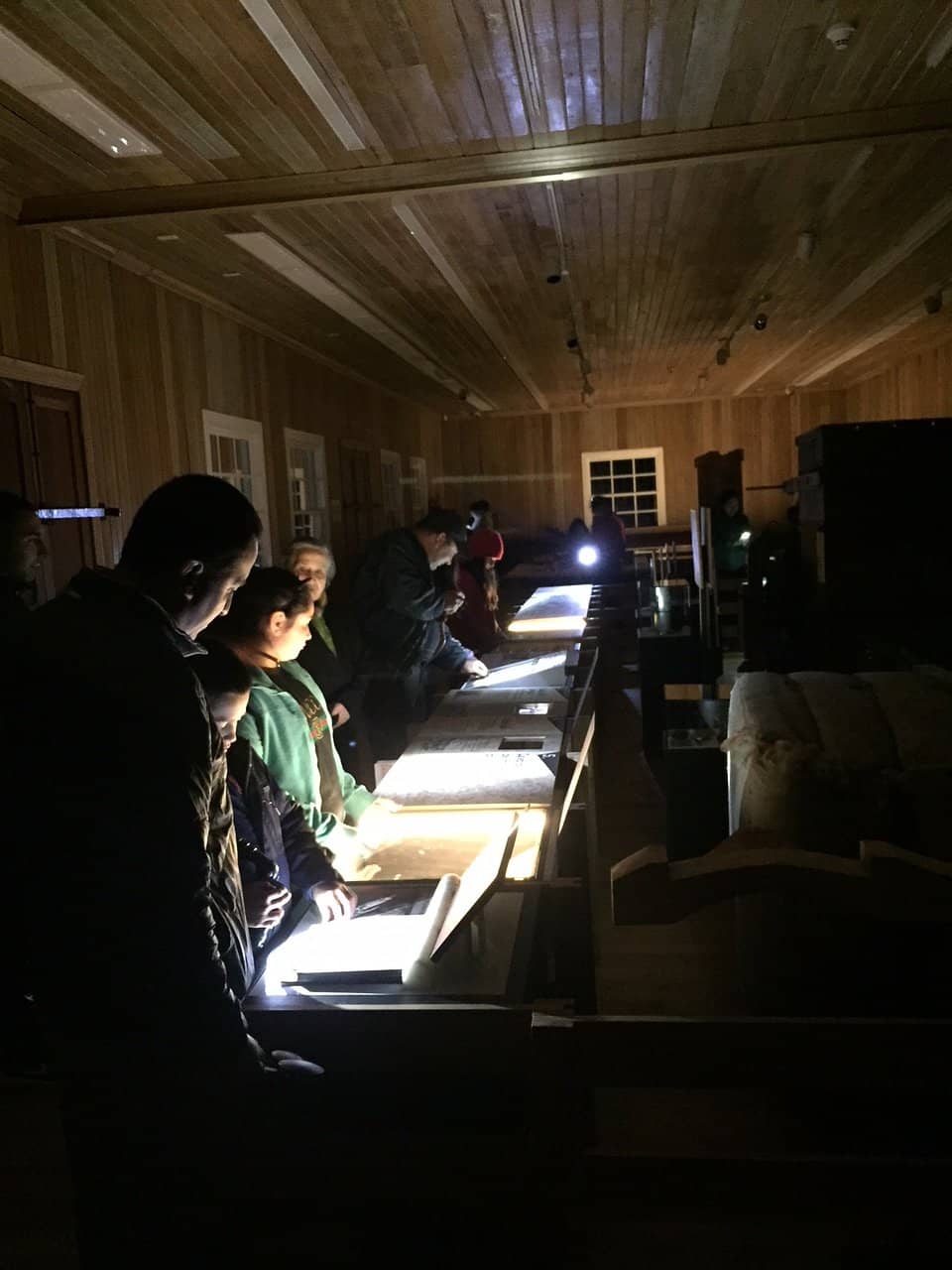 Whale and Dolphin Evolution