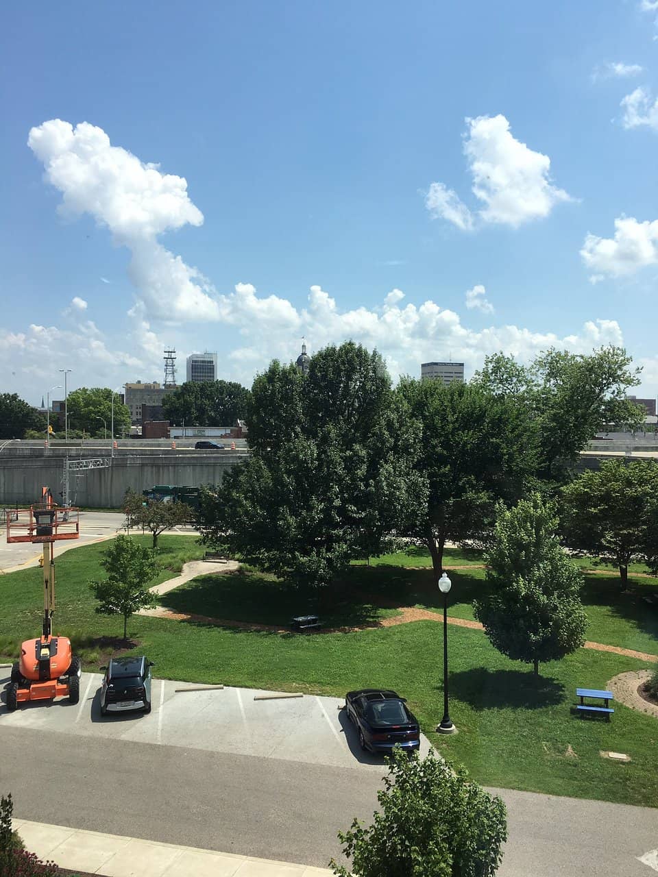 Extensive Book Collections