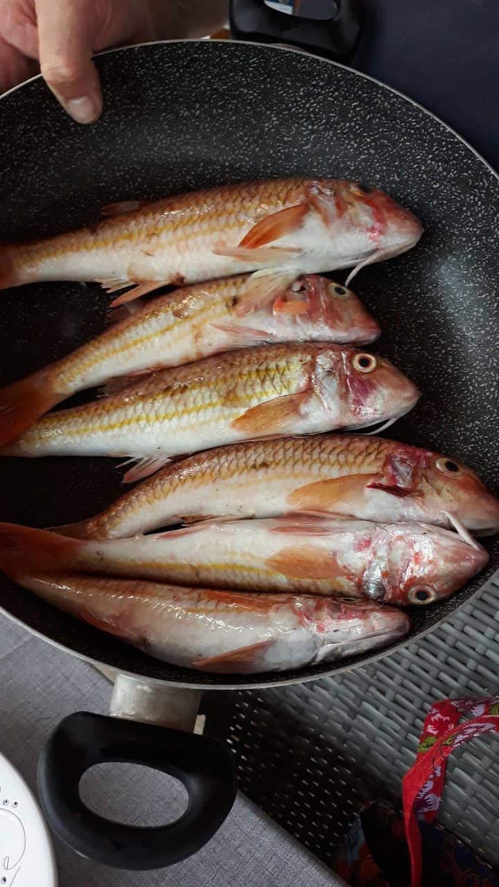 Complimentary Delights