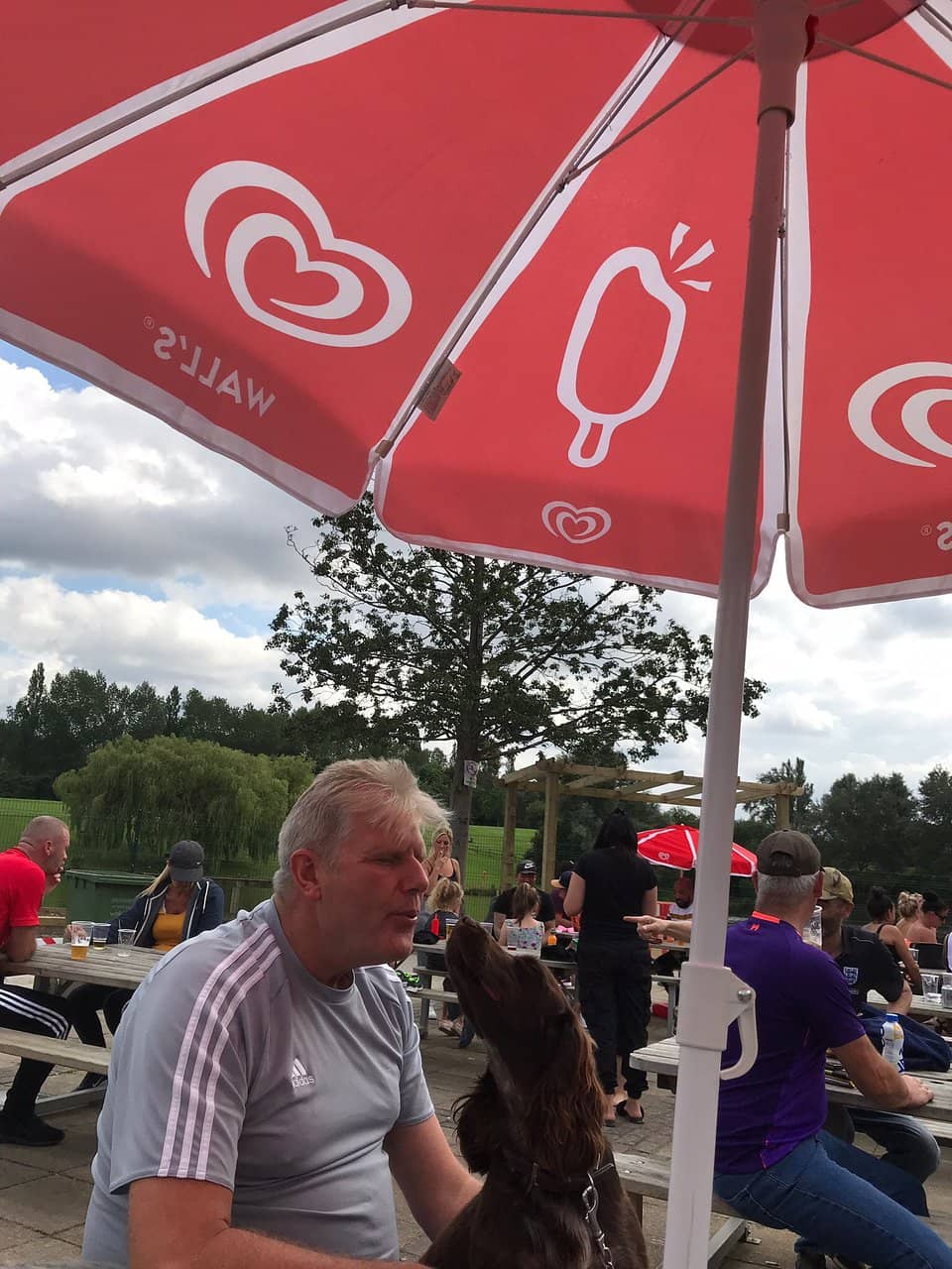 Adventure Playgrounds